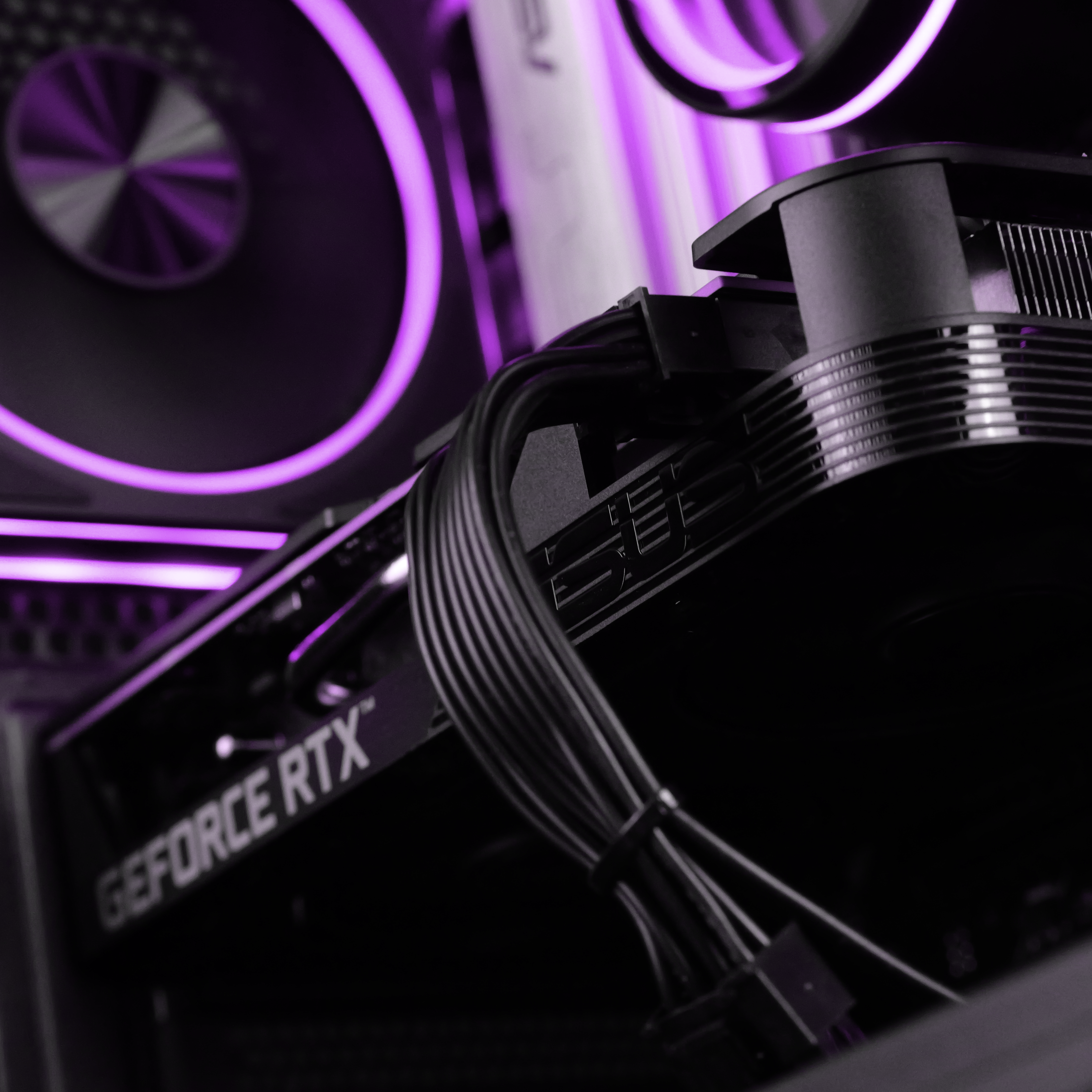 ASCENDANT: RYZEN 7 7700 | RTX 5050