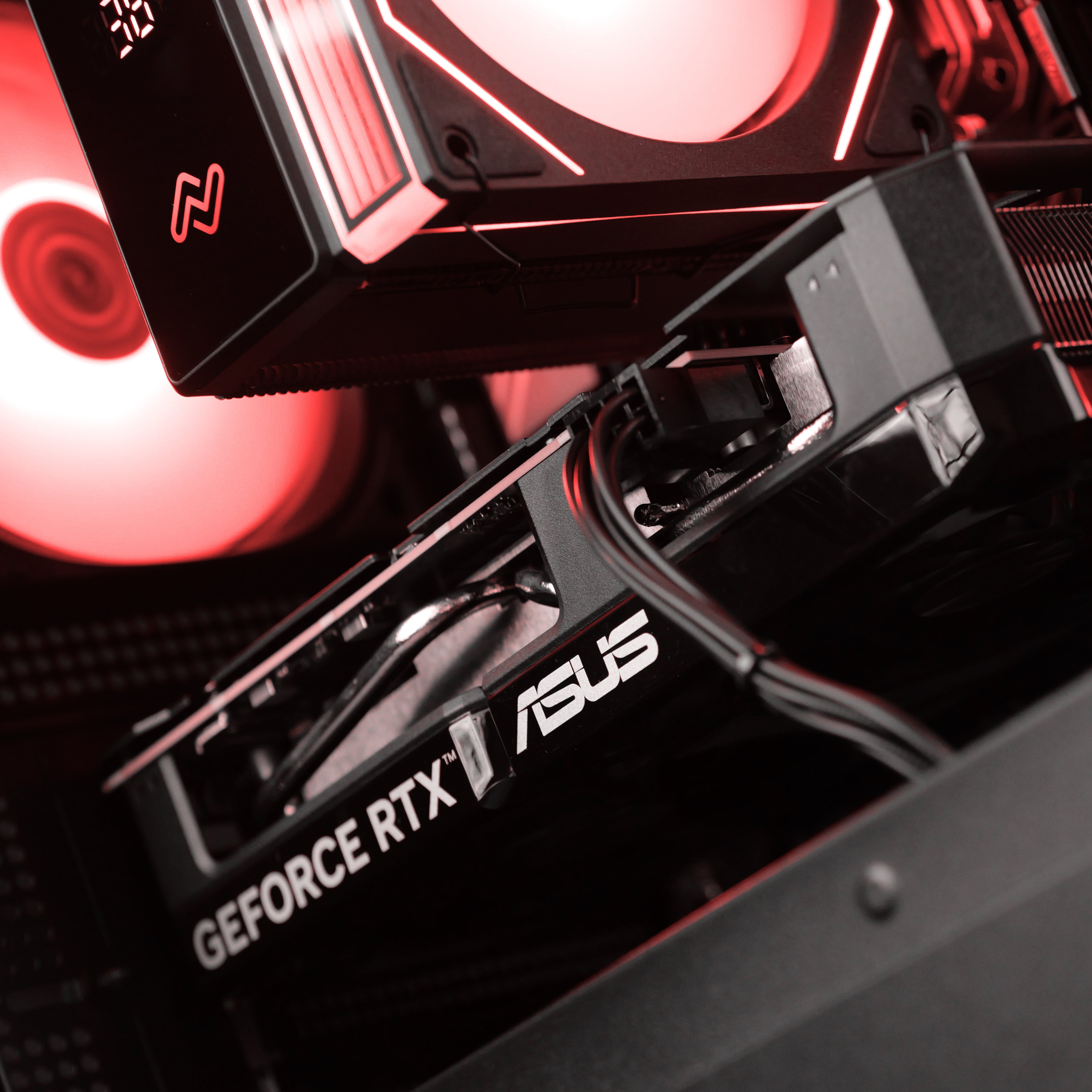FLORAL THORN: RYZEN 5 7500F | RTX 5060