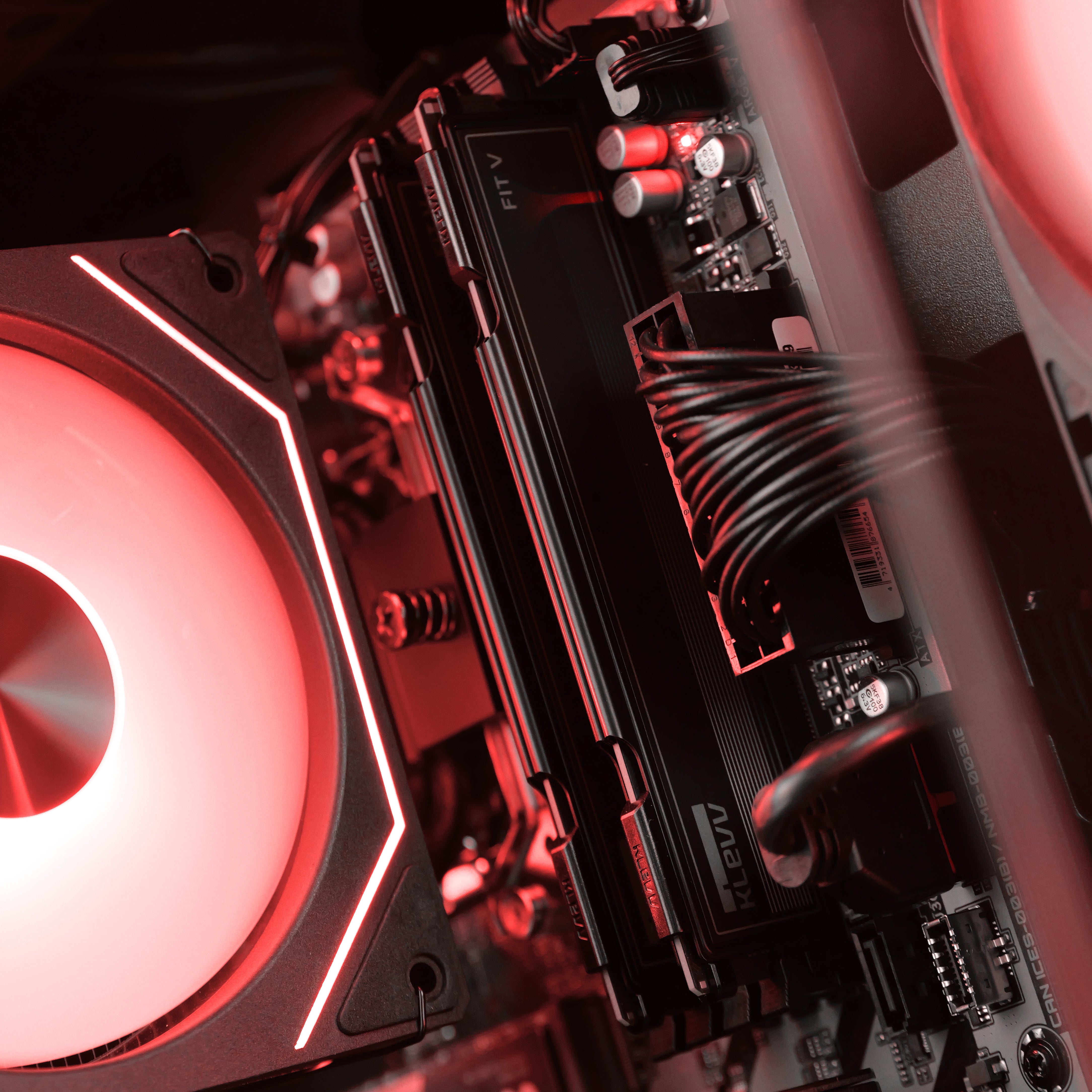 FLORAL THORN: RYZEN 5 7500F | RTX 5060