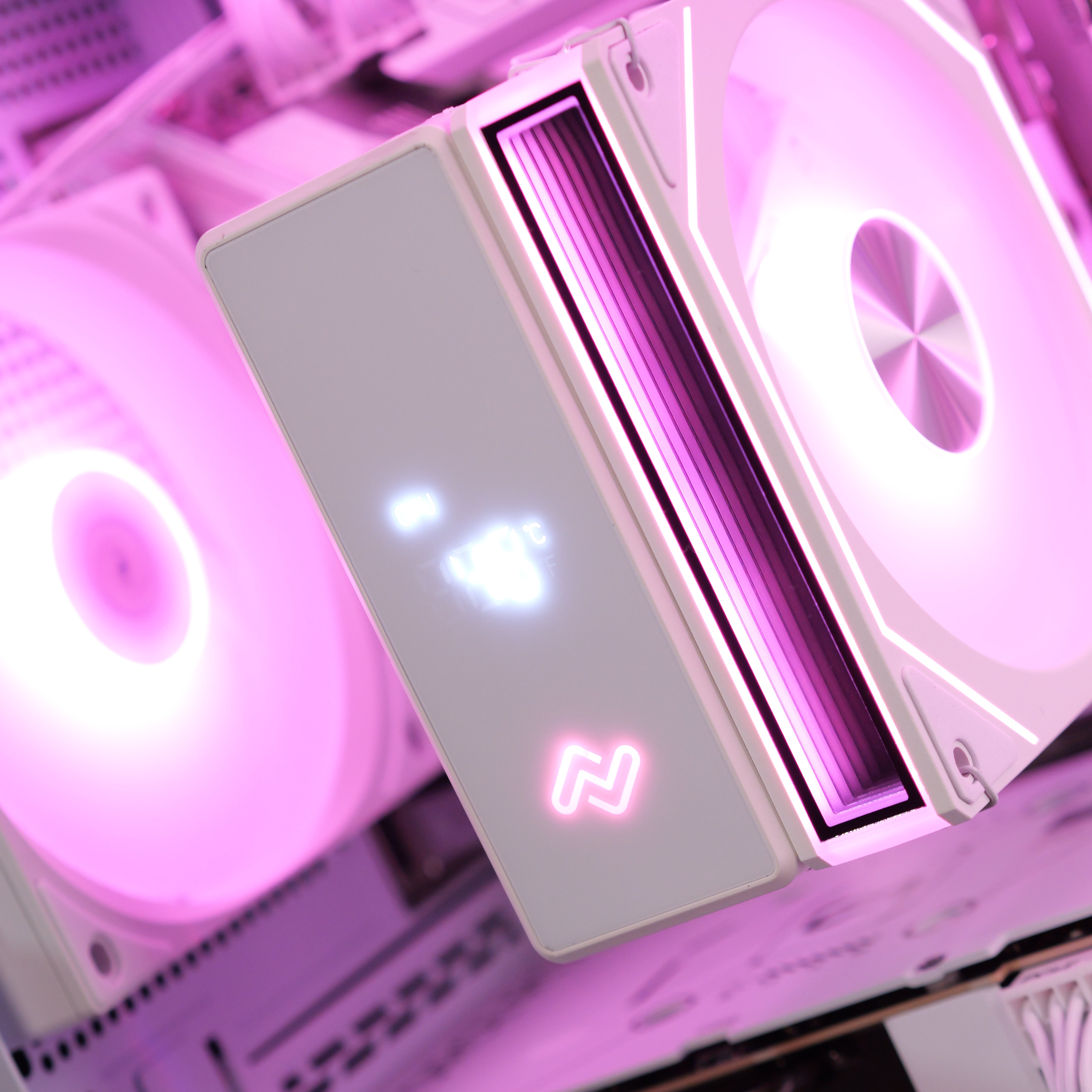 FLORAL ROSE: RYZEN 5 7500F | RTX 5060