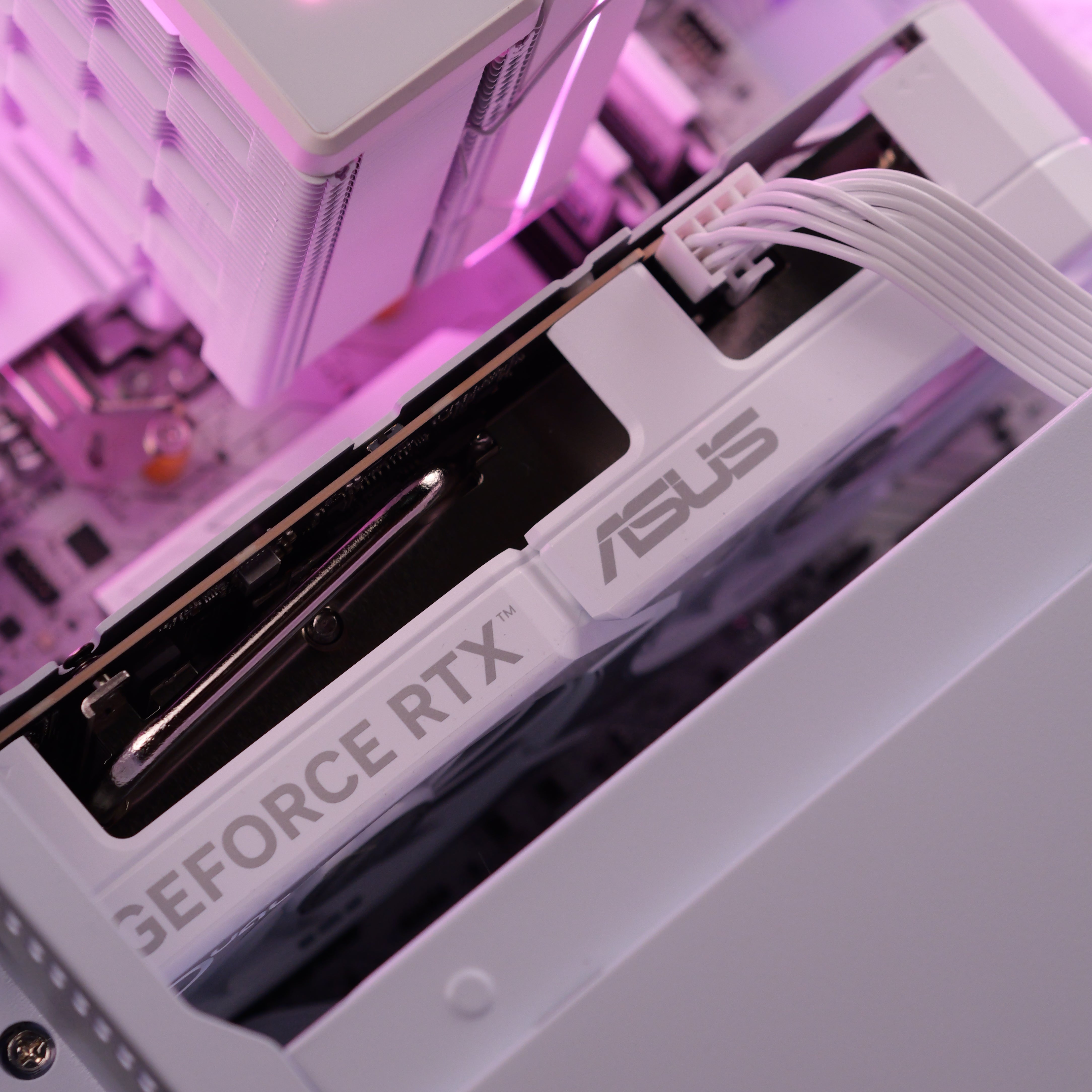 FLORAL ROSE: RYZEN 5 7500F | RTX 5060
