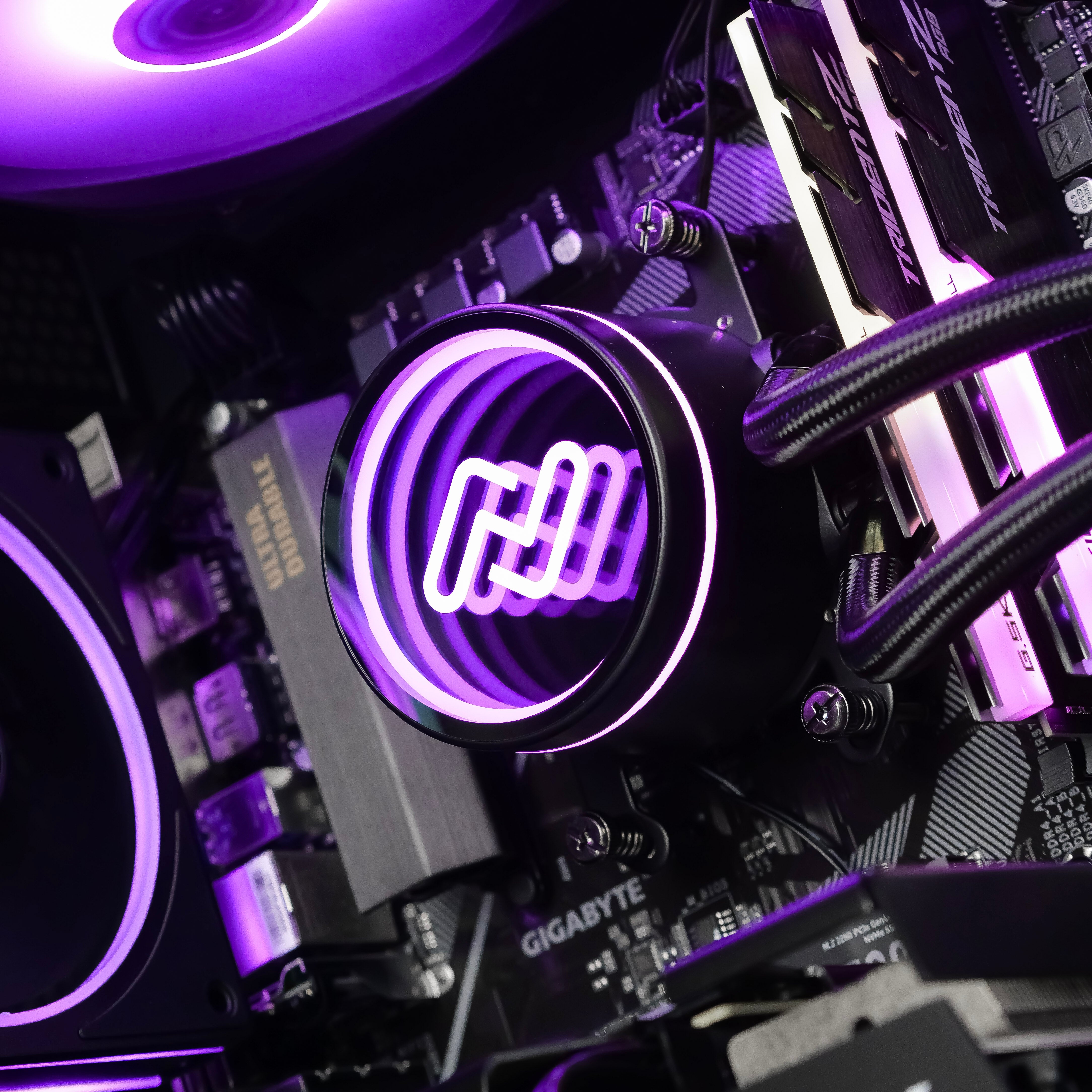 RAMPAGE: RYZEN 5 5600 | RX 9060