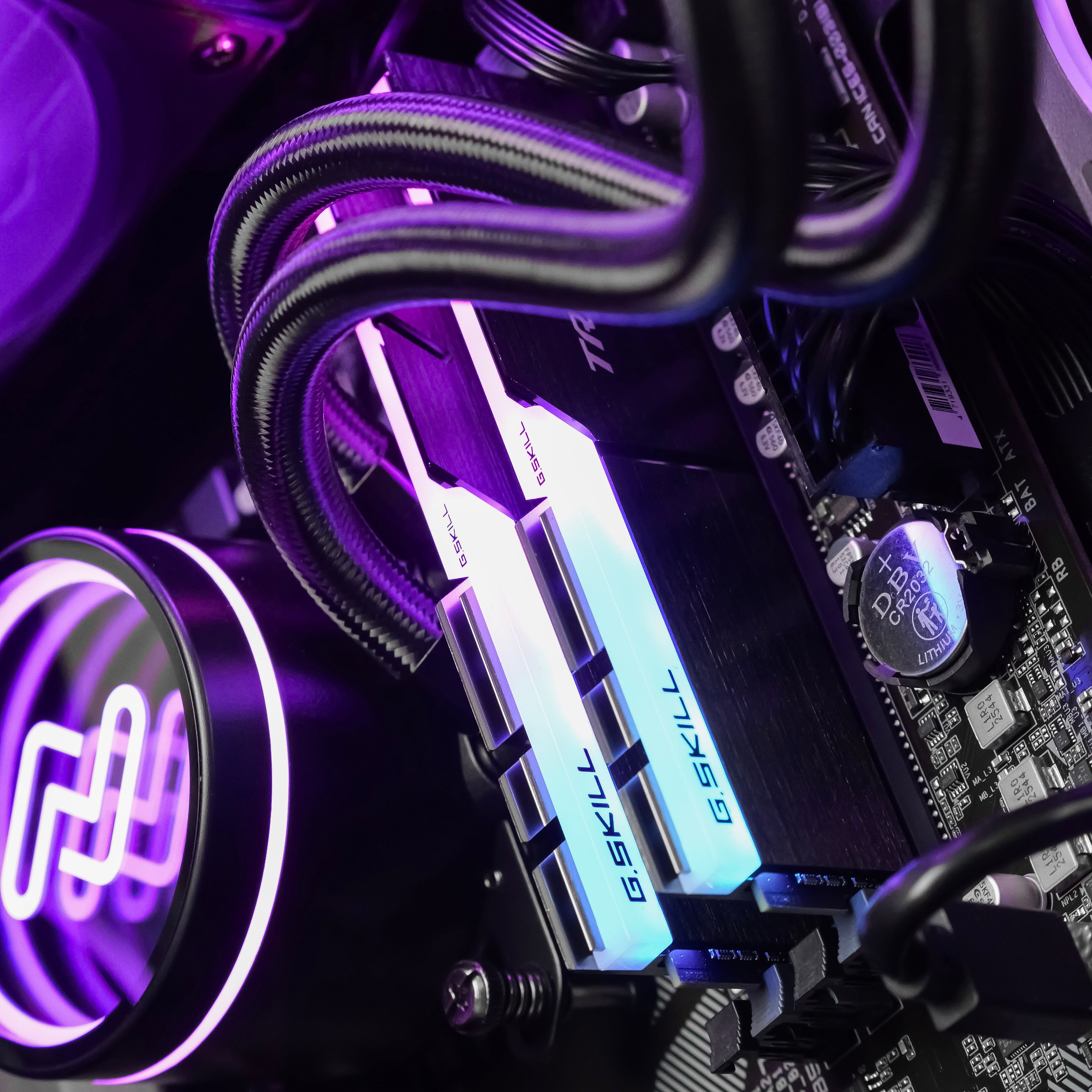 RAMPAGE: RYZEN 5 5600 | RX 9060