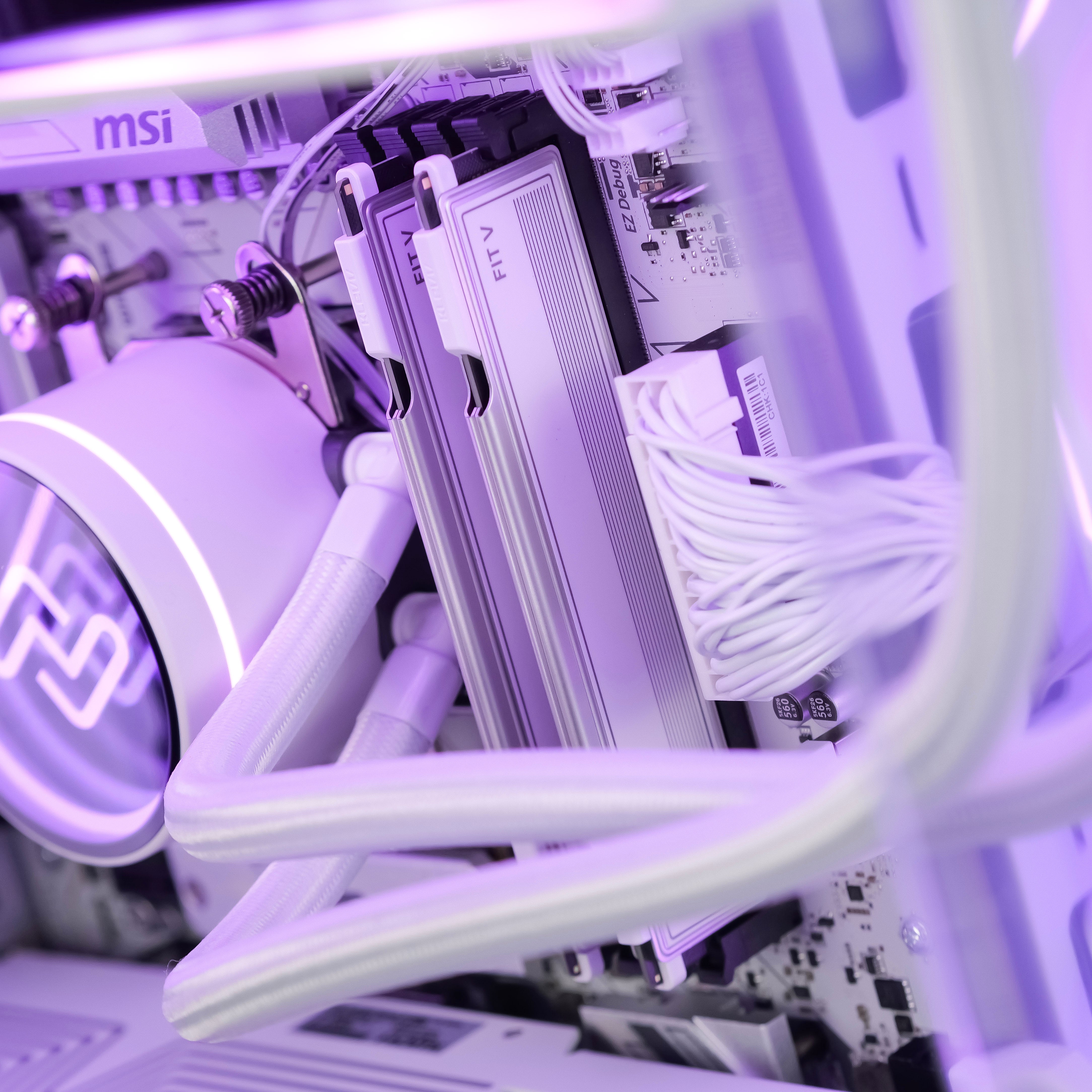 ARCTIC REIGN: RYZEN 5 7500F | RX 9060 XT - 16GB