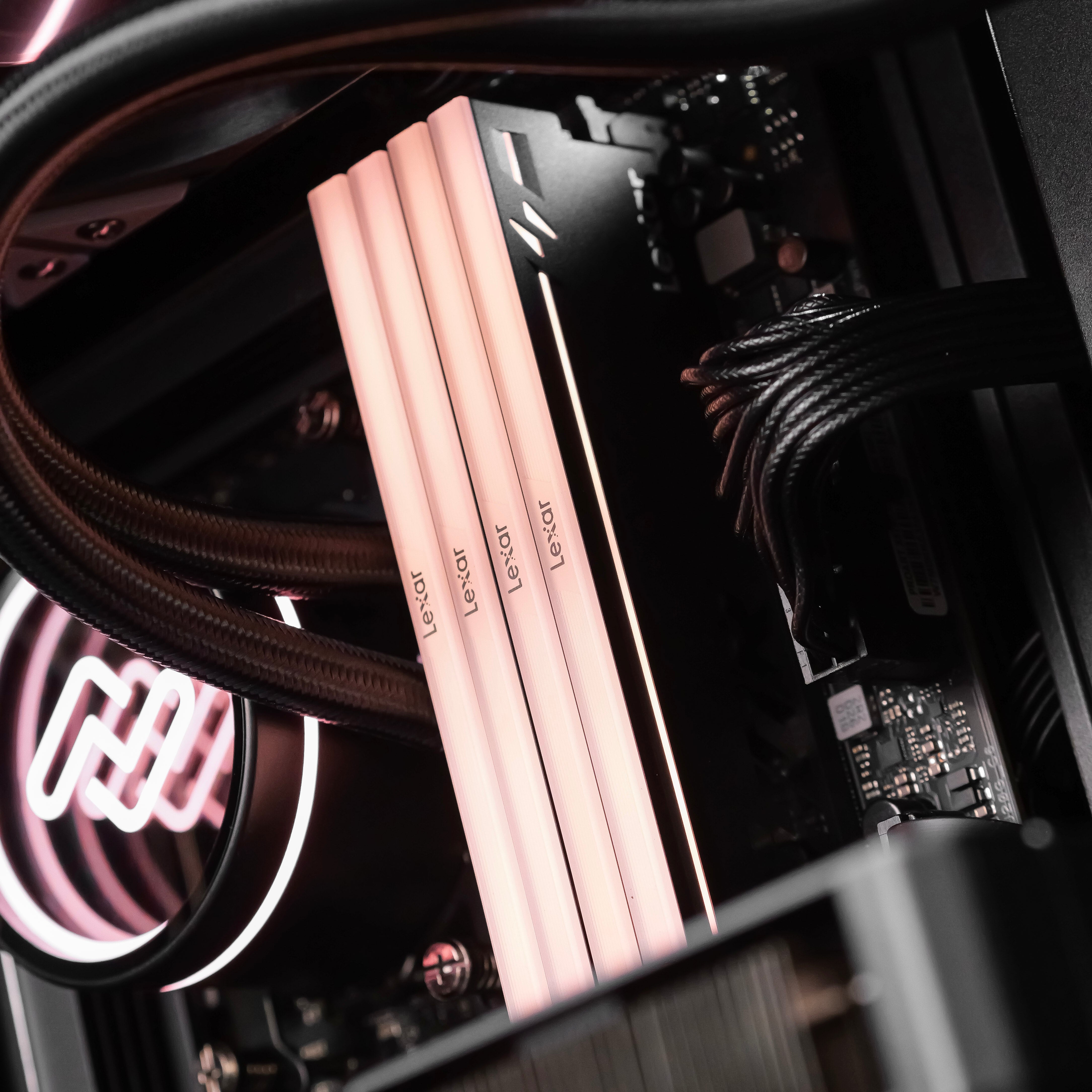 ECHELON: RYZEN 9 9950X3D2 | RTX 5090