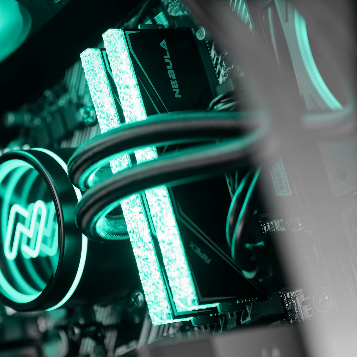LEVIATHAN: RYZEN 5 5600 | RX 9070 GRE
