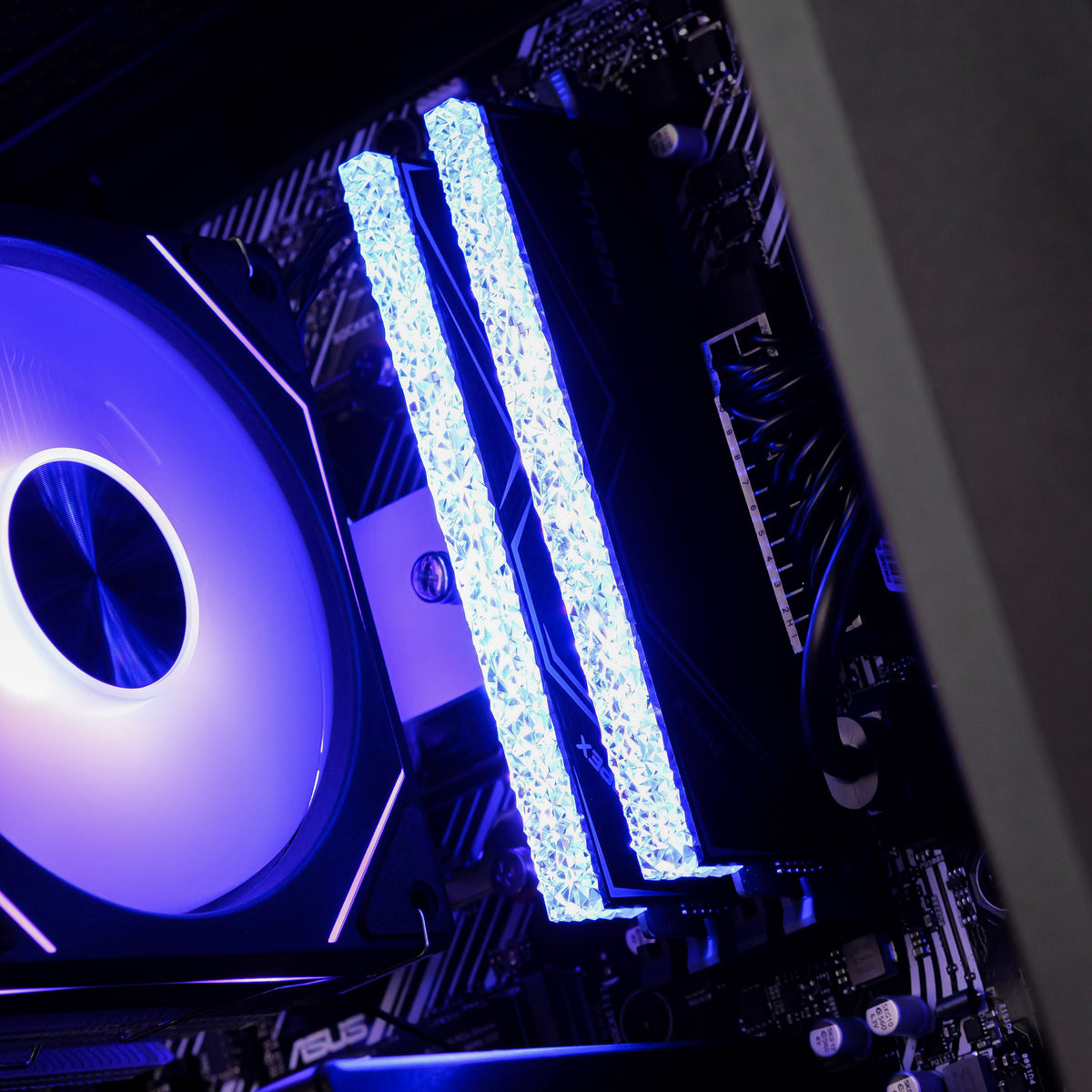DARK RAVEN: RYZEN 5 5600 | RX 9050