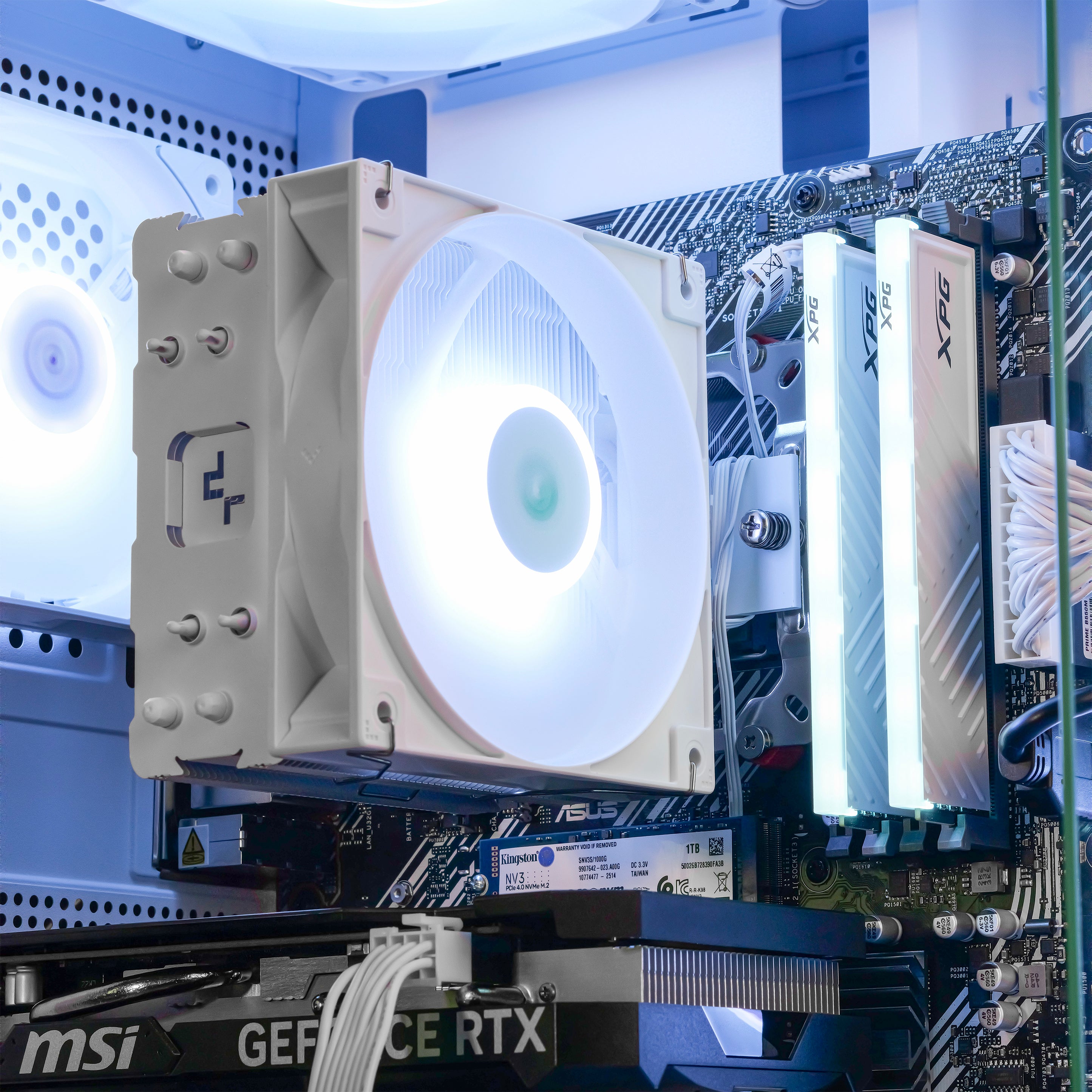 ASCENSION: RYZEN 5 5600 | RTX 4060