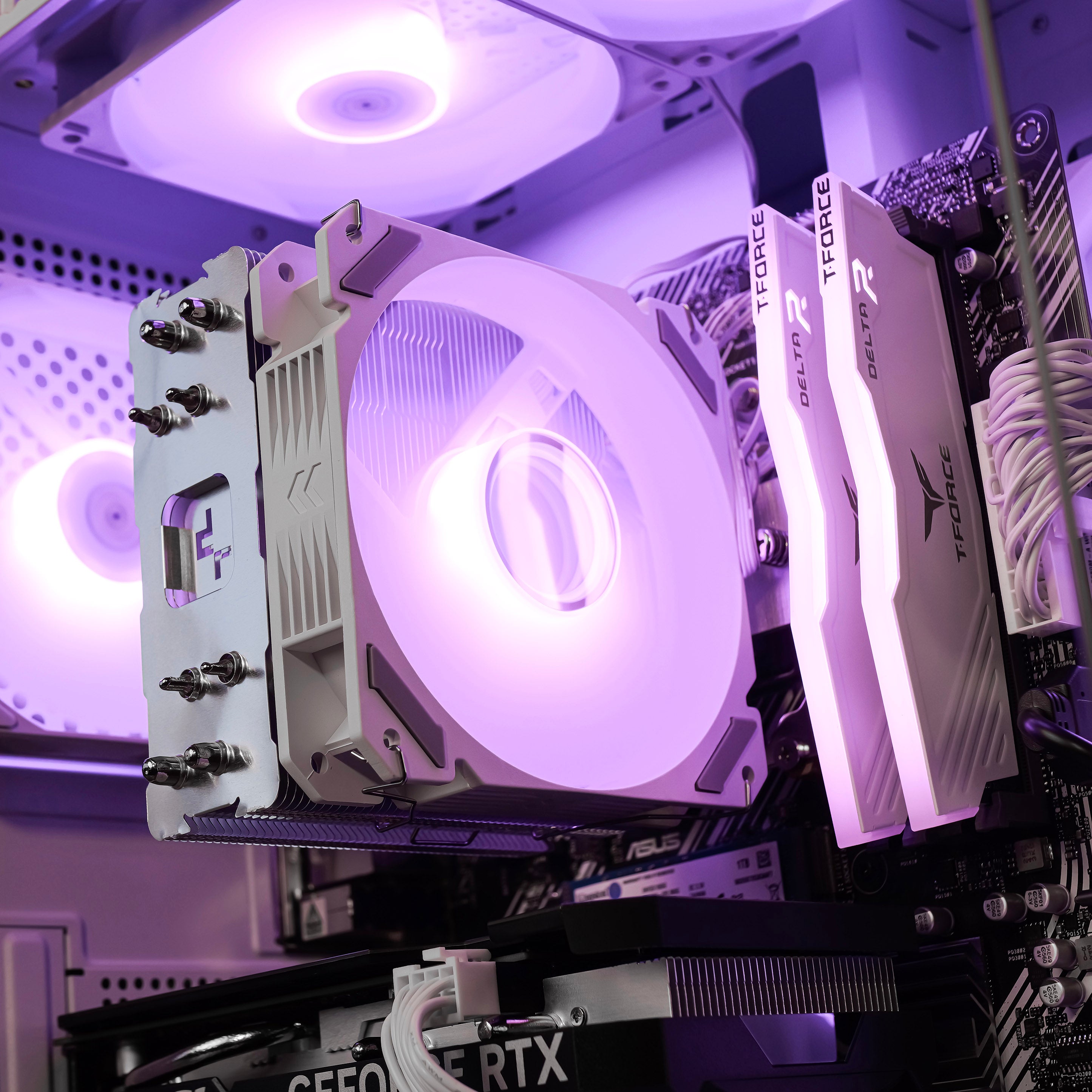 ASCENSION: RYZEN 5 5600 | RTX 4060