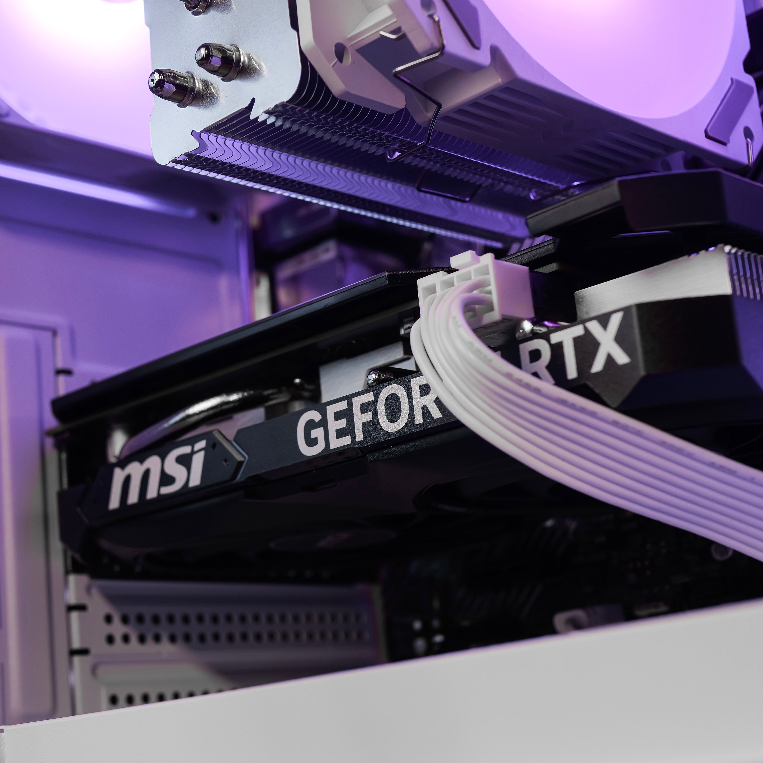 ASCENSION: RYZEN 5 5600 | RTX 4060
