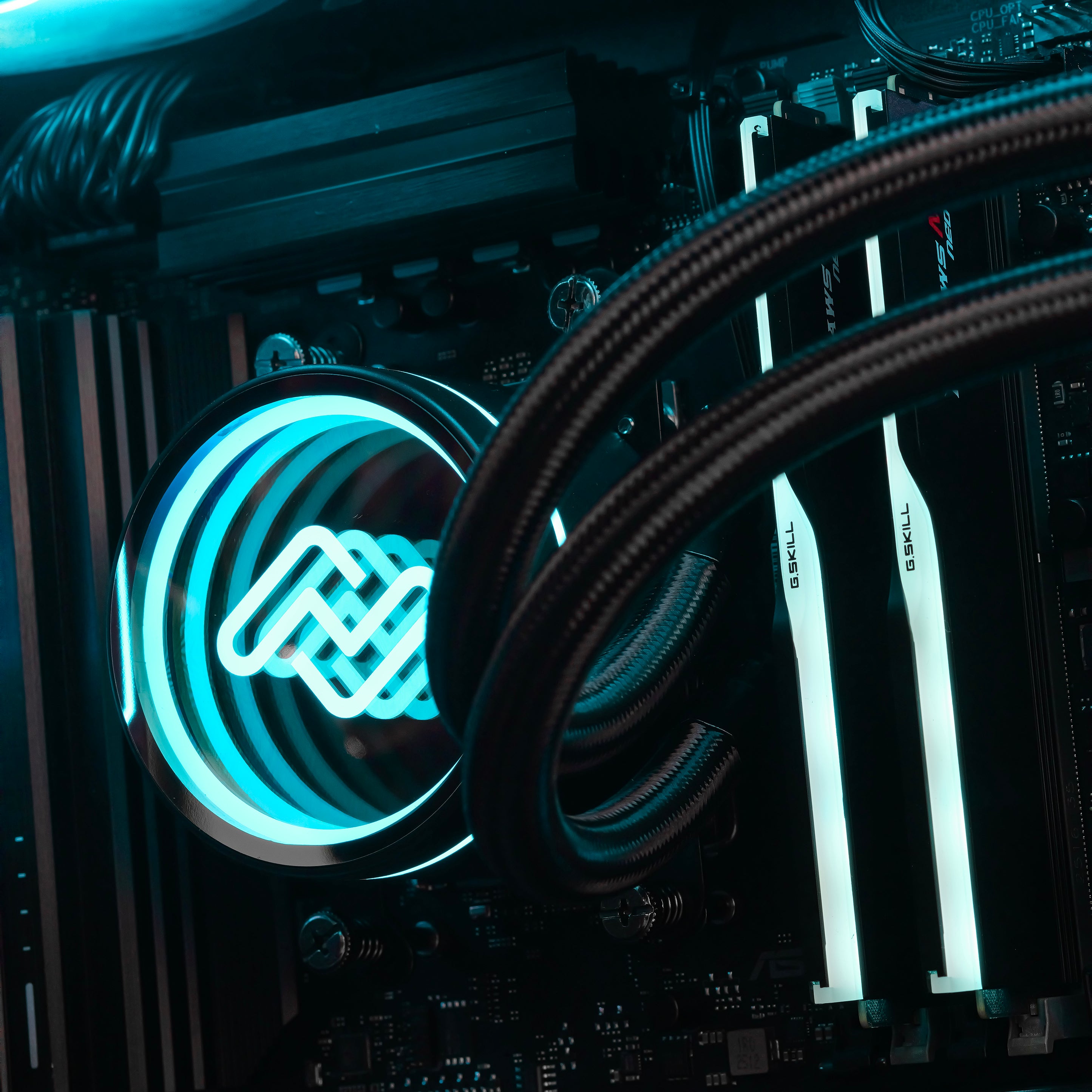 RAVEN ELITE: RYZEN 7 7700 | RTX 5070 Ti