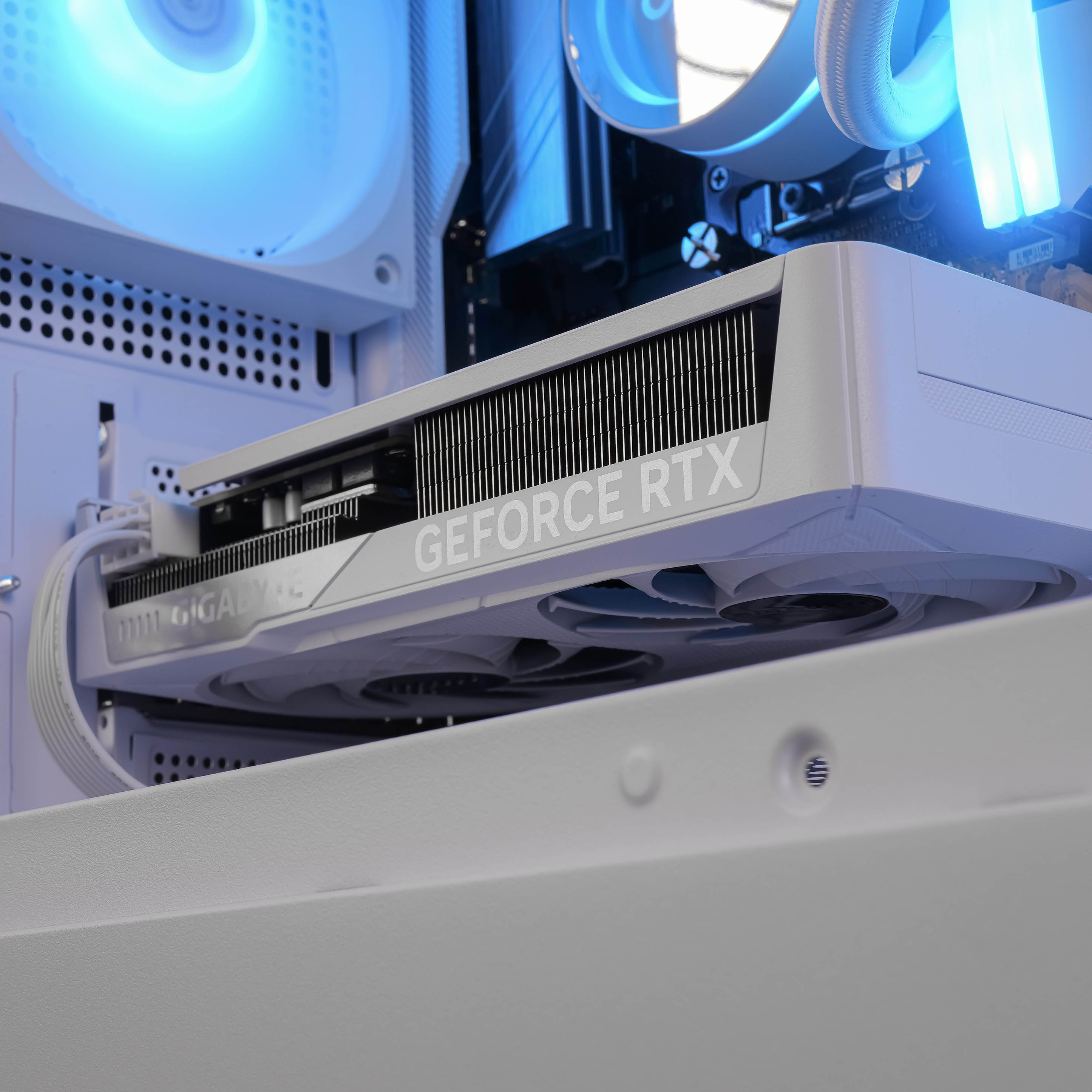 IVORY: RYZEN 5 7500F | RTX 5060