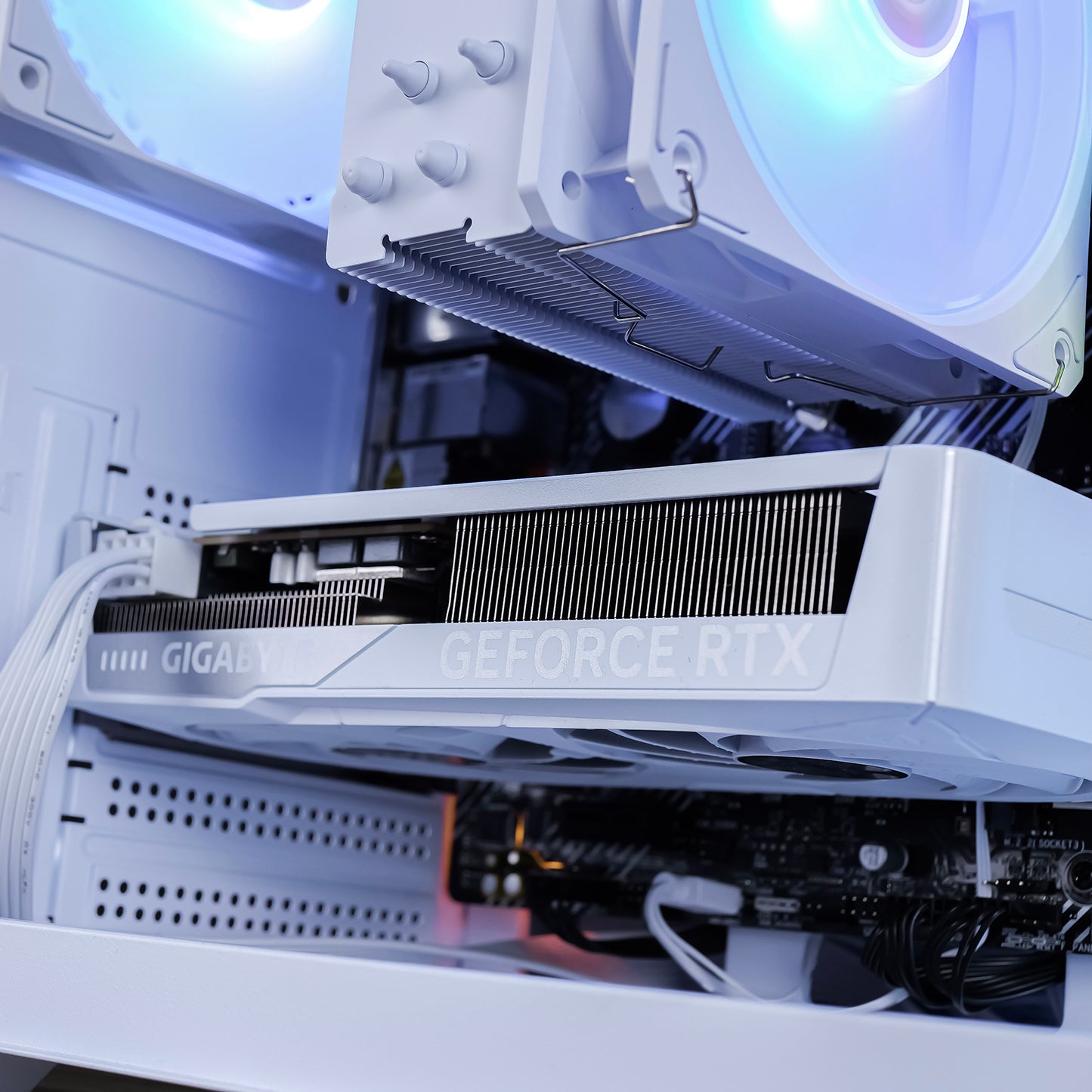 AMETHYST: RYZEN 5 5600 | RTX 5060