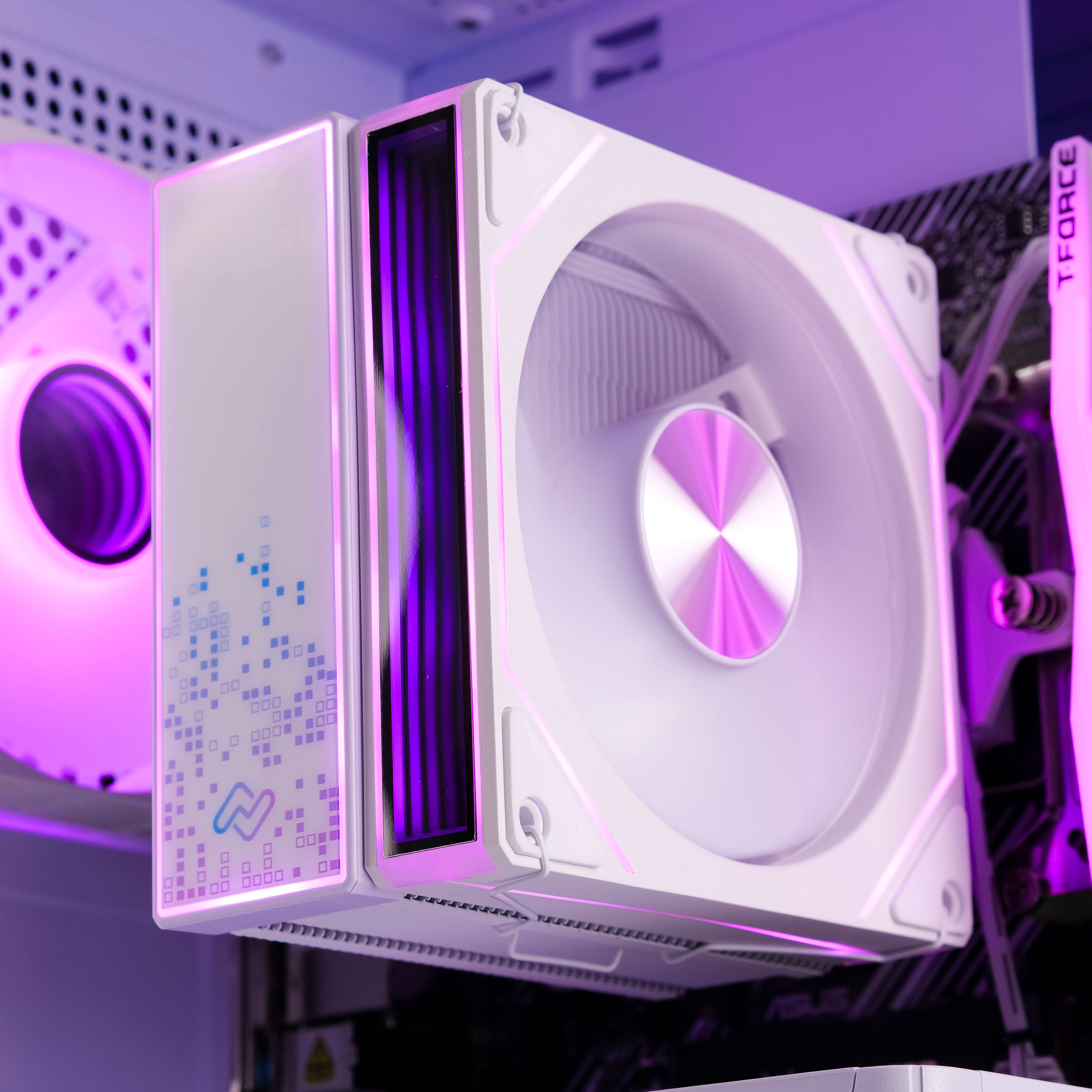 AMETHYST: RYZEN 5 5600 | RTX 5060