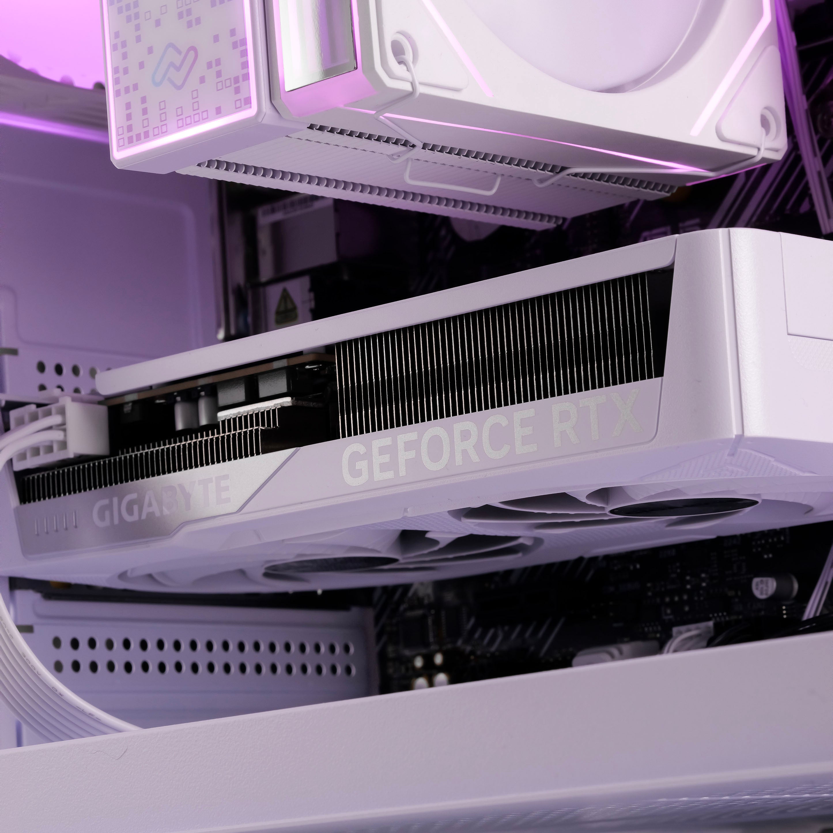 AMETHYST: RYZEN 5 5600 | RTX 5060