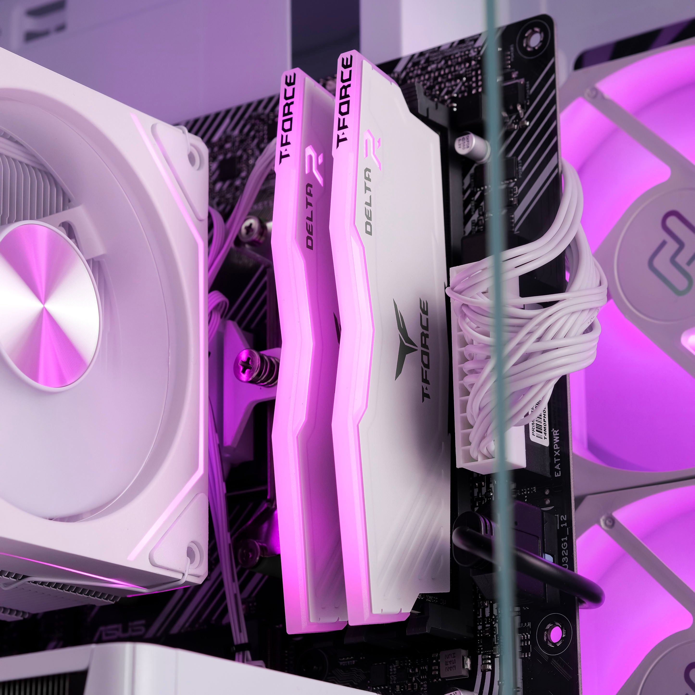 AMETHYST: RYZEN 5 5600 | RTX 5060