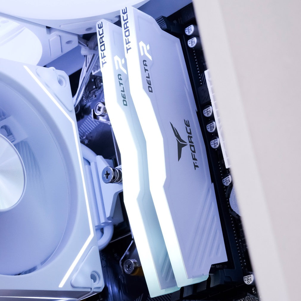 FURY LITE: RYZEN 5 5600 | RTX 5060