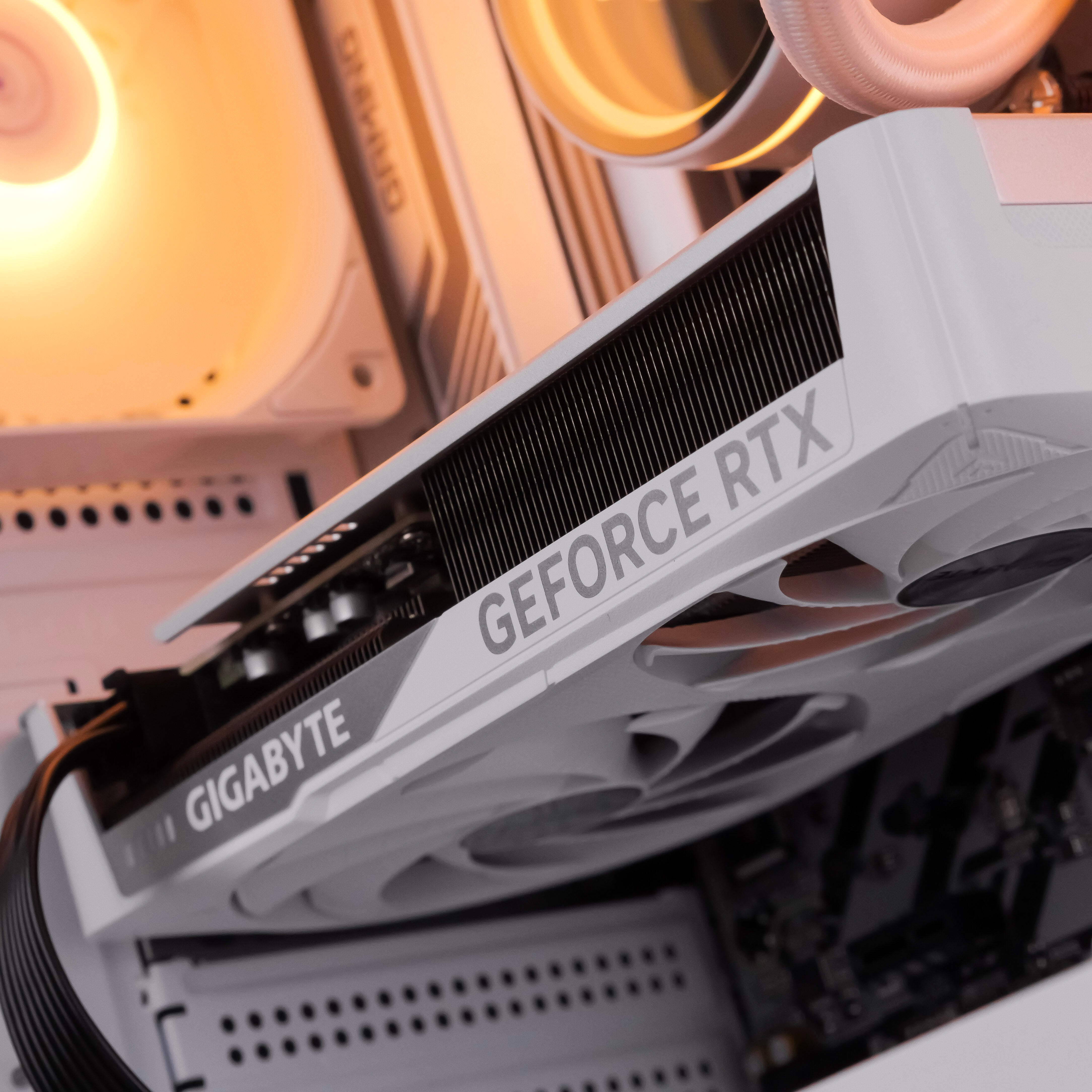 POLAR: RYZEN 5 7500F | RTX 5060 Ti